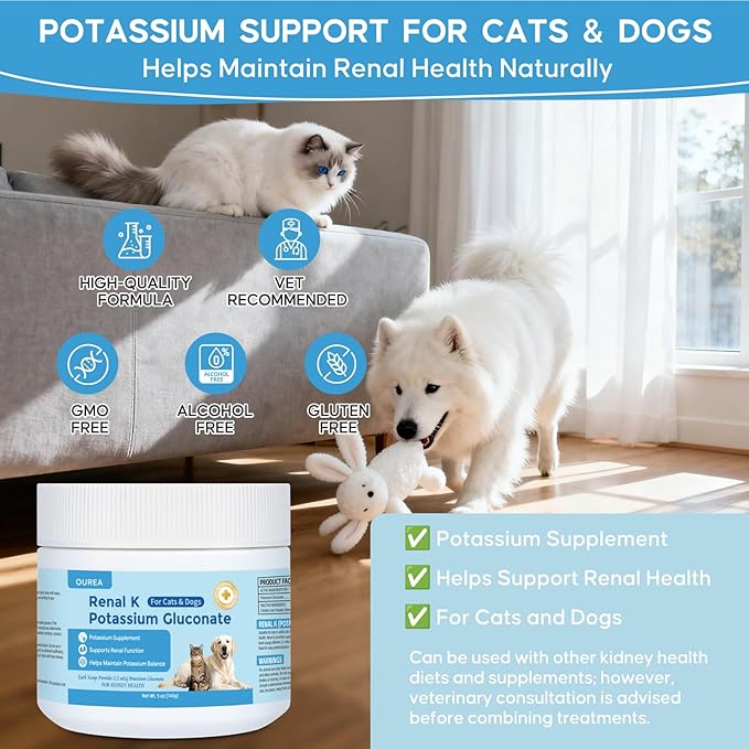 Renal K Potassium Gluconate for Dogs and Cats – 2.2 mEq per Scoop – Supports Kidney Function Restores Potassium Levels – Boosts Energy – Muscle Strength – Vet-Recommended