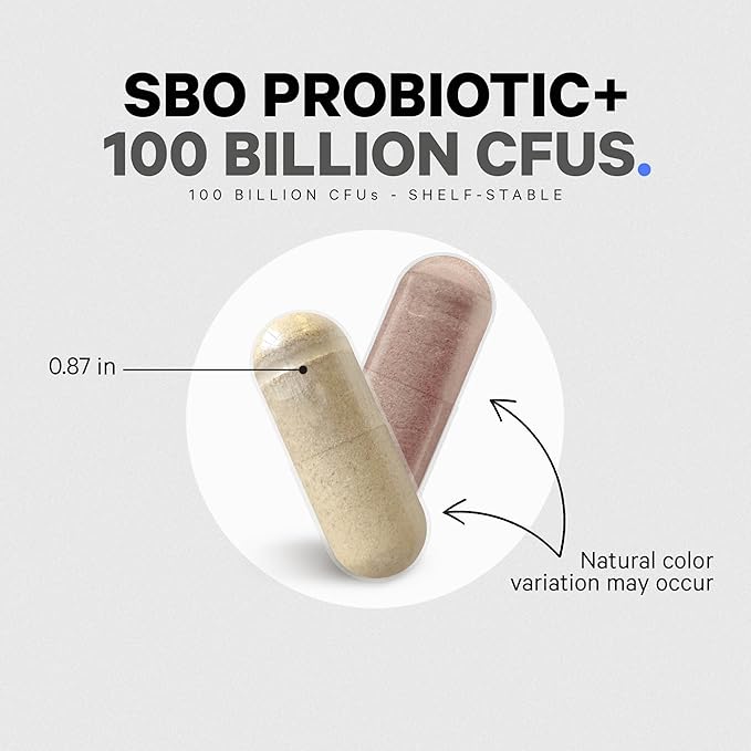 Codeage SBO Probiotics 100 Billion CFUs Per Serving Multi Strain Soil Based Organisms Blend and Organic Fermented Botanical Blend Shelf-Stable 90 Capsules