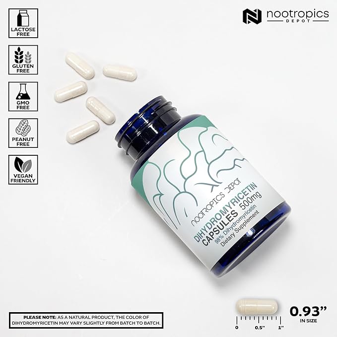Nootropics Depot Dihydromyricetin (DHM) Capsules | 500mg | Supports Liver Alcohol Recovery and Cognition | 60 Count