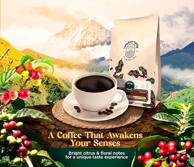 Samarian Coffee Medium Roast – Colombian Single-Origin Arabica – Specialty Ground Coffee with Citrus &amp Floral Notes – Smooth &amp Aromatic – For Pour Over French Press Chemex V60 – 12oz Bag