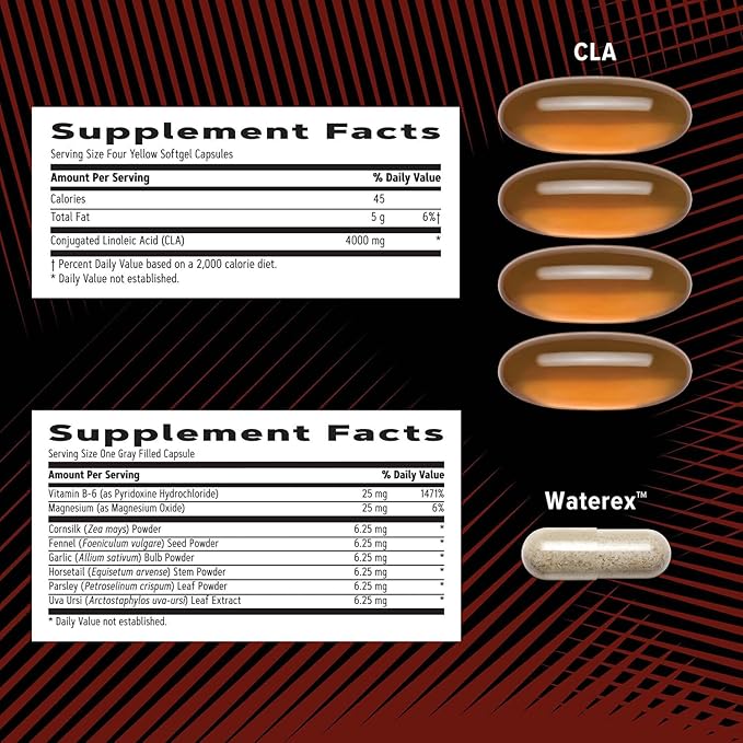 GNC AMP Men’s Ripped Vitapak Program 4 in 1 Product Vitamin Pack Metabolism &amp Lean Muscle Tone Burn Calories Water Shedding Adult Multivitamin Caffeine CLA Proven Ingredients 30-Day Suppl