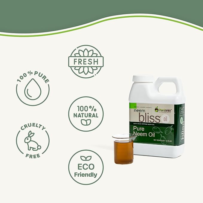 Neem Bliss (1 Gallon) - Pure Neem Oil Concentrate - 100% Cold Pressed Neem Oil - All-Natural Neem Oil Concentrate - Pure Neem Oil Extract - Unrefined Neem Oil for Hair - Neem Seed Oil Concentrate