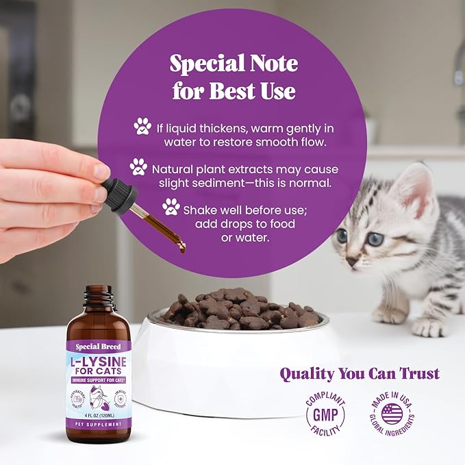 L-Lysine Supplement for Cats &amp Kittens – Immune Support Liquid for Feline Respiratory Health Sneezing Runny Nose &amp Watery Eyes – 250mg Lysine Cat Drops with Vitamins Complex – Chicken Flavor