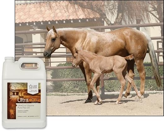 UltraCruz® Equine Pure Flax Oil 1 Gallon