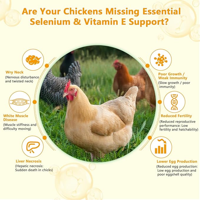 Selenium &amp Vitamin E Powder for Chickens | Poultry Nutrient Support Blend for Muscle Activity &amp Daily Balance | Feed Mix Additive for Chickens &amp All Poultry | 113g