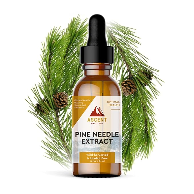 Ascent Nutrition Pine Needle Extract | Contains Naturally Occurring Shikimic Acid &amp Vitamin C | Wild-Harvested &amp Alcohol-Free | 30ml