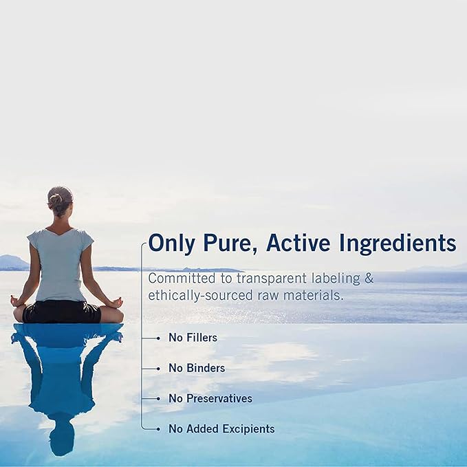 Metabolic Maintenance B-Complex - Supports Energy Circulation &amp Nerve Health - Methylated B Vitamins with Choline and Inositol - 90 Servings - 90 Capsules