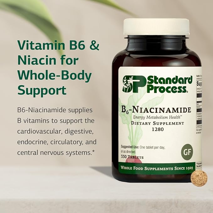 Standard Process B6-Niacinamide Energy Metabolism Health Dietary Support - Gluten-Free Non-Dairy &amp Non-Soy - Cardiovascular Support - 330 Tablets