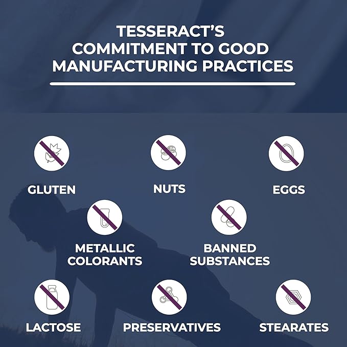 Tesseract ProButyrate Gut Health &amp SafeCell S-Acetyl Glutathione Neuro Support Bundle – 600mg + 300mg 120 + 60 Capsules Antioxidant &amp Gut Microbiome Balance