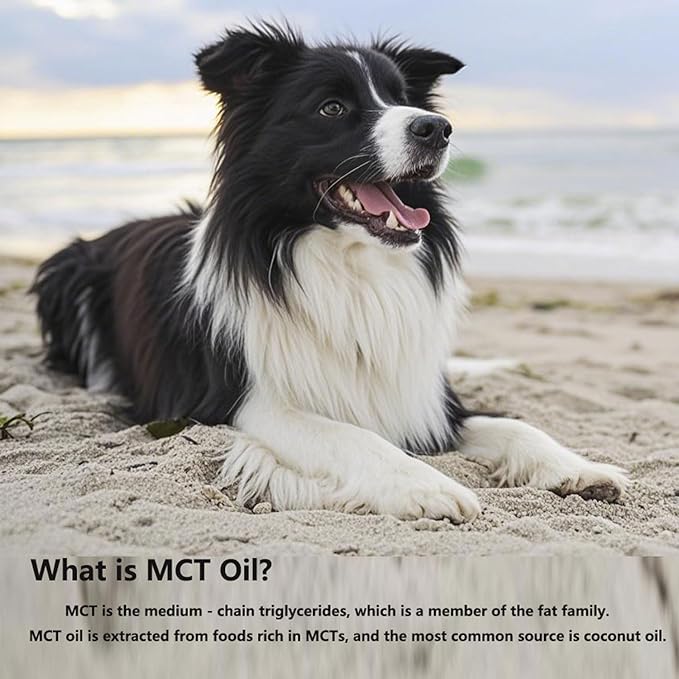 Mct Oil for Dogs90 ServingsMedium Chain Triglycerides.Coconuts C8 and C10 Healthy Digestion Shiny Hair