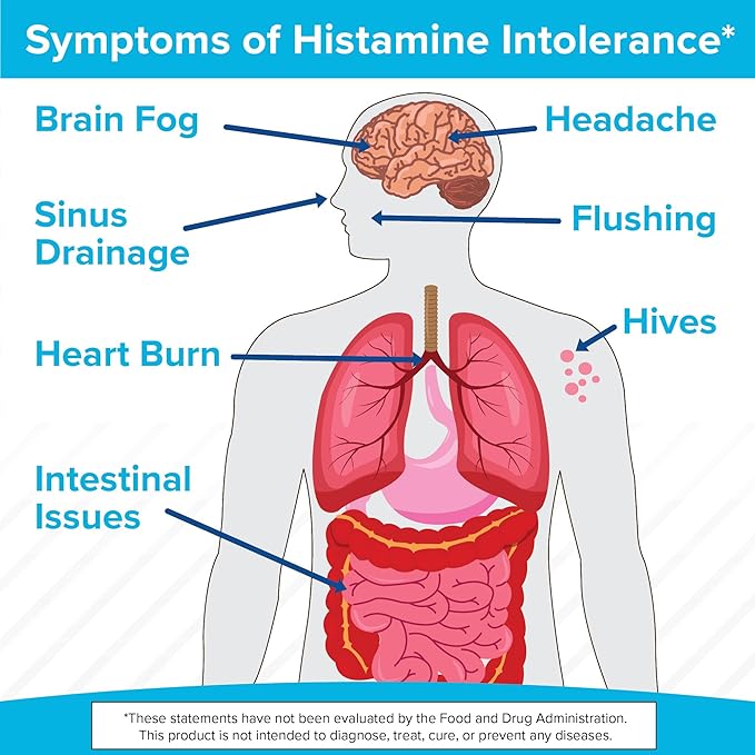 Omne Diem Histamine Digest 15000 HDU DAO Enzyme Supplement (Diamine Oxidase) 30 Caps – Histamine Digestive Support for Histamine-Rich Foods – DAO Enzymes for Gut Health &amp Histamine Metabolism