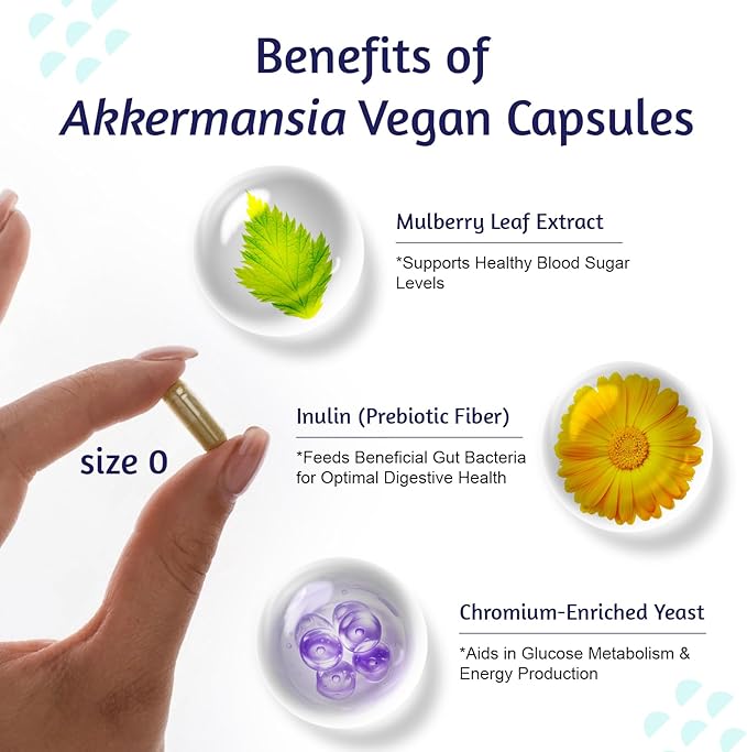 Akkermansia muciniphila 300 B TFU + Mulberry‑Leaf DNJ Extract + Chromium‑Enriched Yeast + Inulin Prebiotic – Vegan High‑Temp‑Stable Synbiotic for Health (30 Capsules)