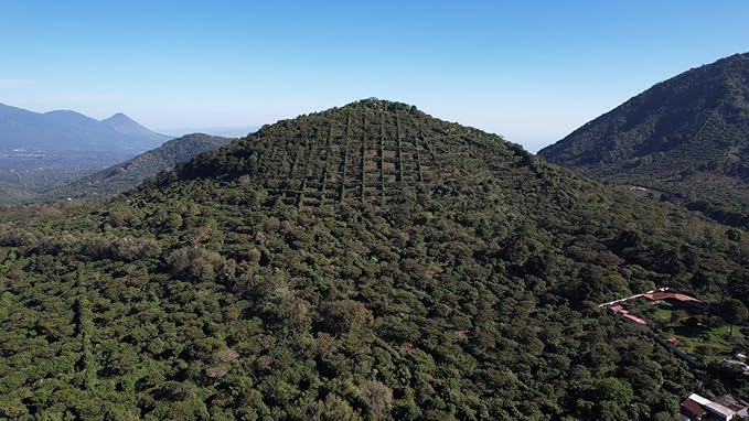 Tesoros Del Pais Green Unroasted Coffee Beans Ahuachapan El Salvador Single Estate High Elevation (Wet Milled 5 lb)
