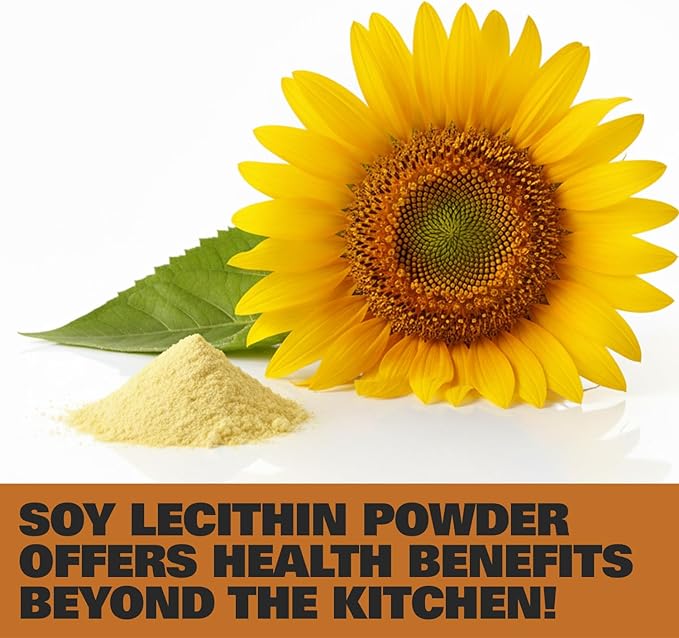 Soy Lecithin Powder 1 Pound Resealable Bag