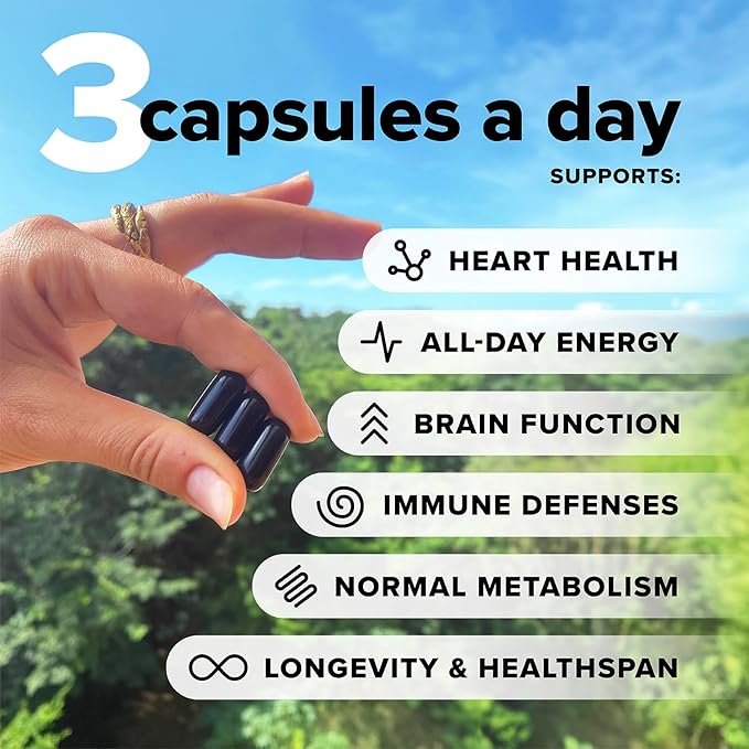 Complement Essential Vegan Multivitamin for Men &amp Women (30 Servings 90 Capsules) with Omega-3 DHA &amp EPA B12 Vitamin D3 &amp K2 Zinc Selenium Magnesium Iodine - Supports Immunity &amp