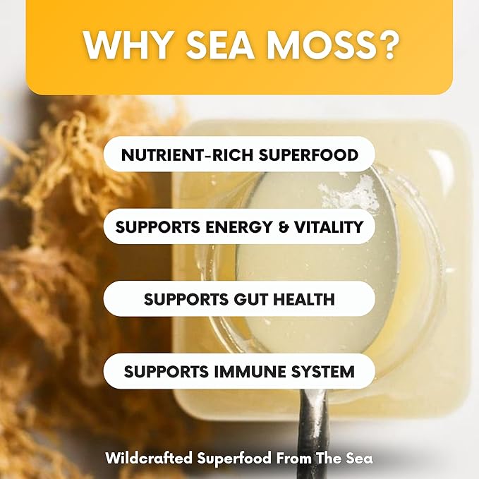 Wildcrafted Irish Sea Moss Gel 16 oz | Made in USA | Gold Seamoss Superfood | Rich in Vitamins &amp Minerals | Real Fruit | Nutritional Supplement | Mango