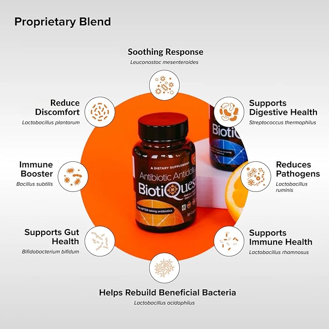BiotiQuest Antibiotic Antidote Probiotics to Rebalance Body After Taking Antibiotics 20 Billion CFU Non-GMO and Gluten Free 30 Capsules