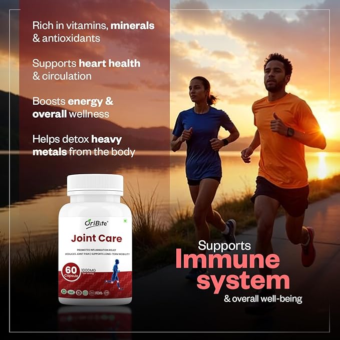 Joint Care Capsules | Glucosamine Chondroitin MSM &amp Herbal Extracts | Supports Joint Flexibility Mobility &amp Comfort | Natural Nutraceutical Supplement | 60 Capsules