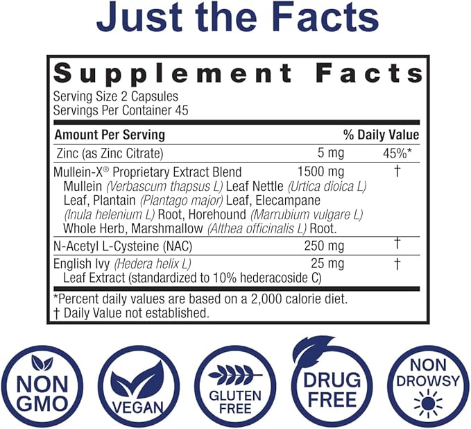 Nature's Answer MulleinX® Respiratory NAC &amp Zinc 90 Vegetarian Capsules