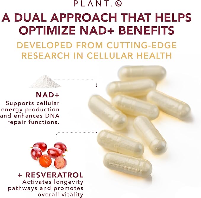 NAD Supplement High Purity (500mg of 95% Pure NAD Plus) with Resveratrol - NMN and Nicotinamide Riboside Alternative for Energy Anti-Aging Cell Regeneration Focus – 60 Pills