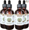 Psyllium Alcohol-Free Liquid Extract Psyllium (Plantago Ovata) Seed Glycerite Natural Herbal Supplement Hawaii Pharm 4x4 fl.oz