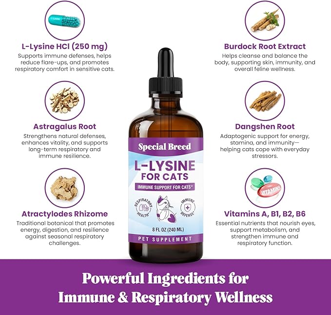 L-Lysine Supplement for Cats &amp Kittens – Immune Support Liquid for Feline Respiratory Health Sneezing Runny Nose &amp Watery Eyes – 250mg Lysine Cat Drops with Vitamins Complex – Chicken Flavor