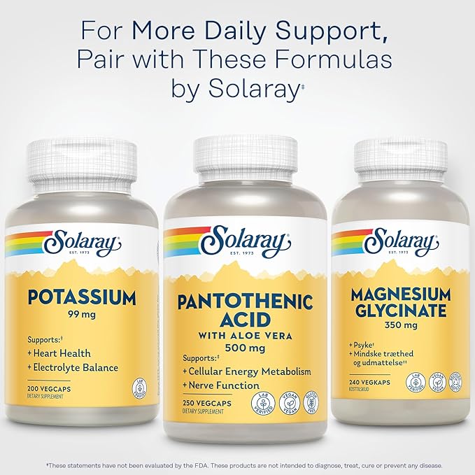 SOLARAY Pantothenic Acid 500mg - Pantothenic Acid Supplement (Vitamin B5) - Essential B Complex Vitamin - Nervous System and Cellular Energy Support - Vegan Gluten Free 60-Day Guaratee 250 Servings