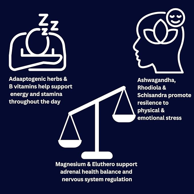 Adrenal &amp Cortisol Support Cream – Stress &amp Energy Balance | Ashwagandha Rhodiola Ginseng Magnesium | 2 oz – Adrenal Revive by King &amp Queen Wellness