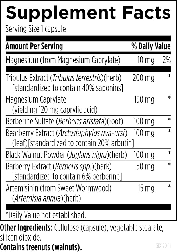Designs for Health GI Microb-X - Botanical Gut Support Cleanse + Detox Supplement with Tribulus Berberine + Barberry Extract - Vegetarian + Non-GMO (120 Capsules)