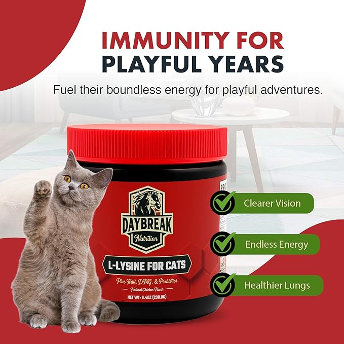 L-Lysine for Cats and Kittens - 900 mg L Lysine Powder for Cats for Immunity &amp Respiratory Support - Cat Supplement with L-Lysine Prebiotics Krill &amp DMG for Immune System (120 Servings)