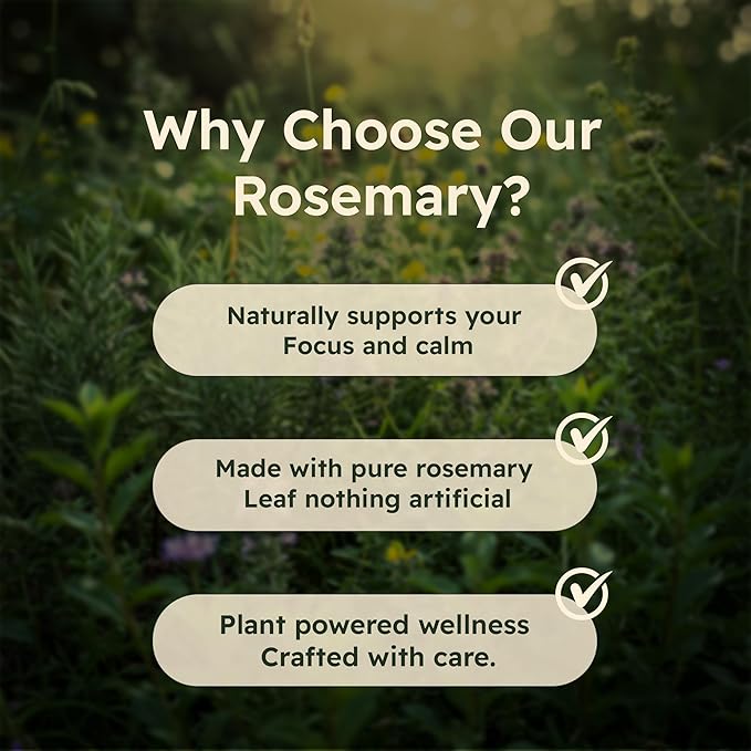 Rosemary Leaf Extract 500mg 90 Vegan Capsules Herbal Supplement for Mind Body &amp Hair Wellness Gluten-Free Plant-Based
