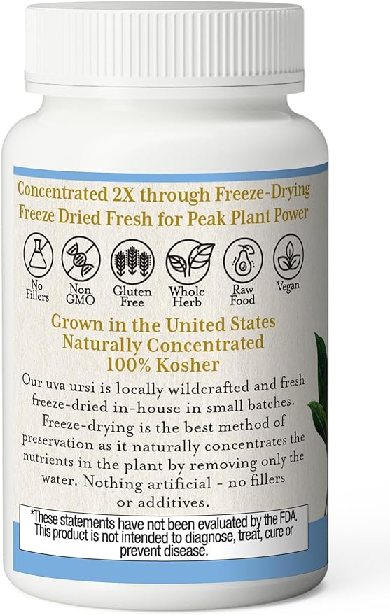 Eclectic Herb - Uva Ursi Capsules | Urinary Tract Support | Supplement for Urinary Tract &amp Bladder Health | US-Grown Non-GMO Gluten Free Vegan (90 CT | 350 mg)