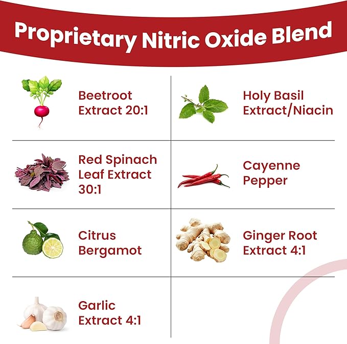 Vascular Defense Nitric Oxide Support | Systemic Enzyme Blend with Nattokinase Lumbrokinase Serrapeptase &amp Bromelain | Beet Root Extract | Spike Detox | Cardiovascular Supplement | 60 Capsules