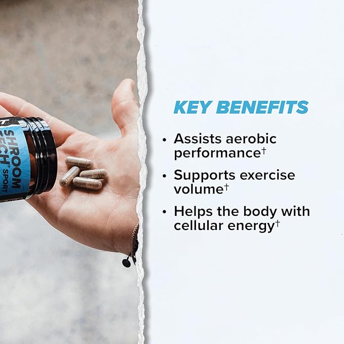 ONNIT Cognitive &amp Endurance Support Bundle: Alpha Brain Nootropic Capsules (30 Count) + Shroom Tech Sport Exercise Support Capsules (28 Count) IGEN Non-GMO Tested Focus Energy &amp Endurance 2