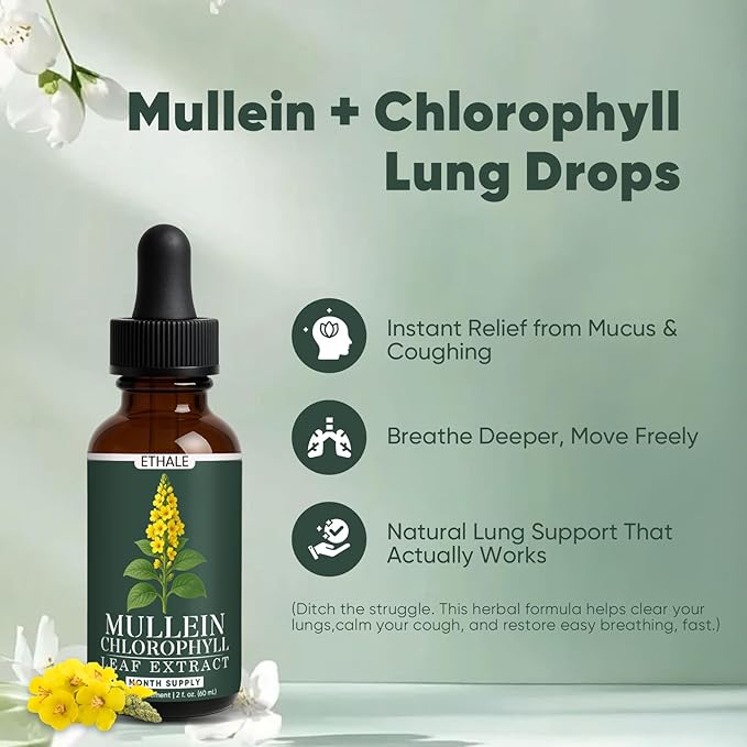 ETHALE Mullein Drops for Lungs - Mullein + Chlorophyll Lung Drops Respiratory Support &amp Lung Detox Formula with Chlorophyll Mullein Leaf Extract 1 Month Supply