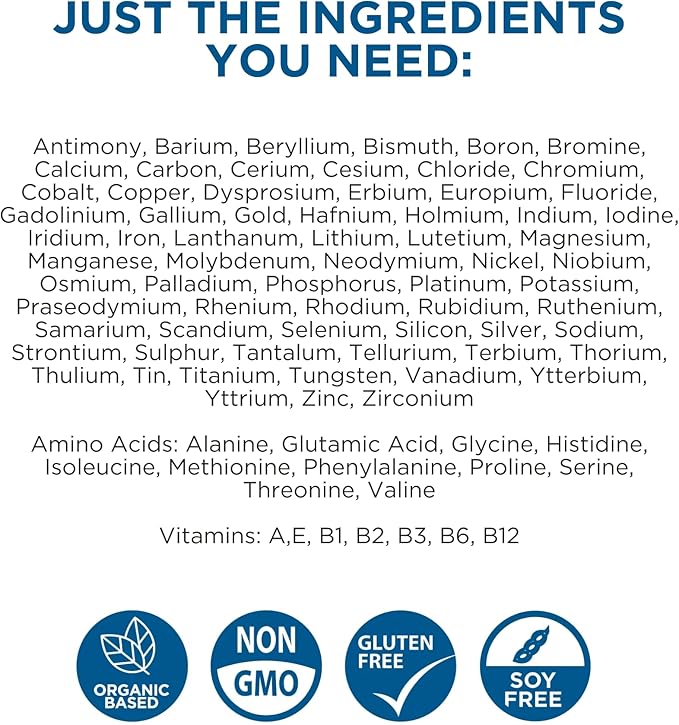 BEAM MINERALS Travel Pack | Electrolyte &amp Micronutrient Support On-The-Go | Micro-Boost Electrolyze and Insta-Lytes 2 fl Oz
