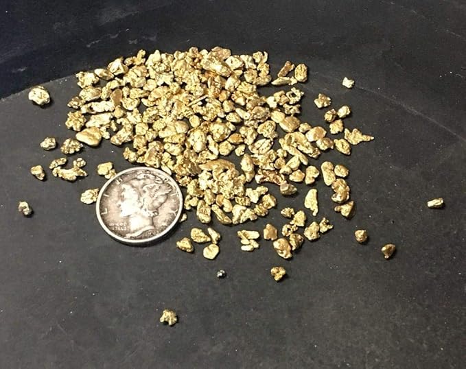 Prestige Minerals and Gems Gold Paydirt 25 LB from Colorado - Unsearched Gold Paydirt Bags - Pan at Home - Guaranteed Gold