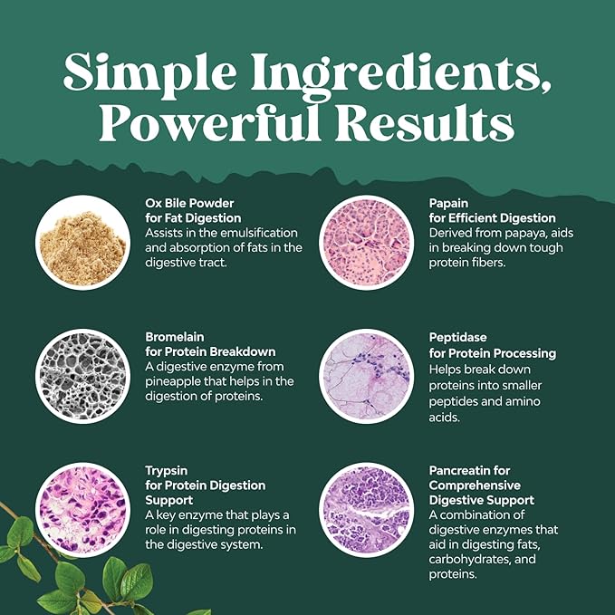 Digestive Enzymes with Ox Bile - Ox Bile Supplements for No Gallbladder with Trypsin Papain &amp Bromelain Enzyme for Pancrease Cleanse &amp Detox - Pancreatin Digestion Enzymes for Women &amp Men