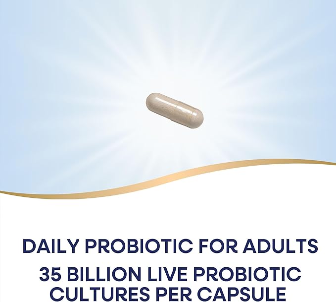 Nature's Way Fortify Optima Probiotic for Adults 35 Billion Live Cultures 15 Strains Supports Digestive Balance and Immune Health* No Refrigeration Required 60 Capsules (Packaging May Vary)