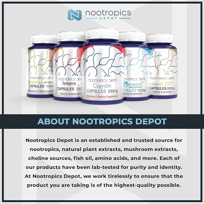 Nootropics Depot Agmatine Sulfate Capsules | 250mg | 240 Count | Nitric Oxide &amp Pump Support | Pre-Workout Amino Acid | Promotes Strength Energy &amp Recovery
