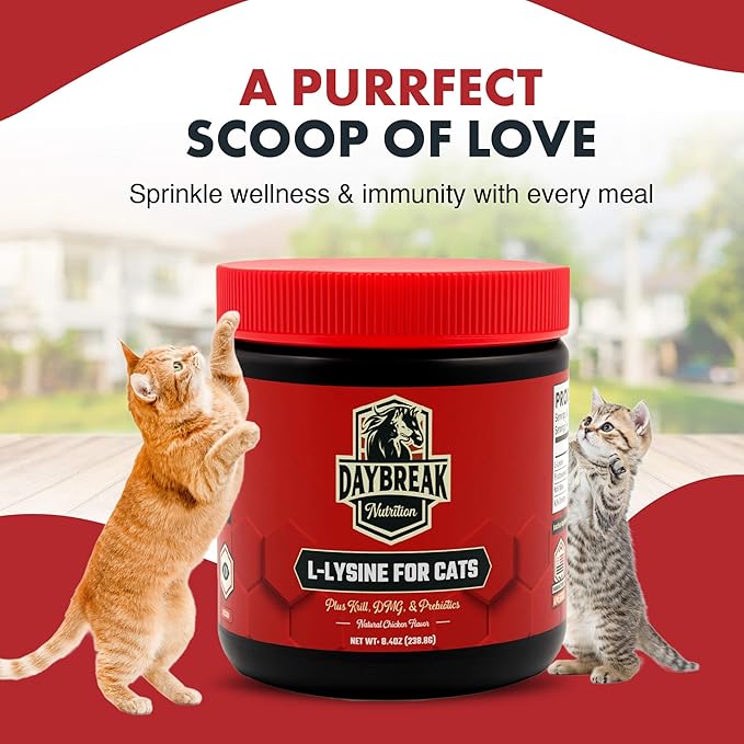 L-Lysine for Cats and Kittens - 900 mg L Lysine Powder for Cats for Immunity &amp Respiratory Support - Cat Supplement with L-Lysine Prebiotics Krill &amp DMG for Immune System (120 Servings)
