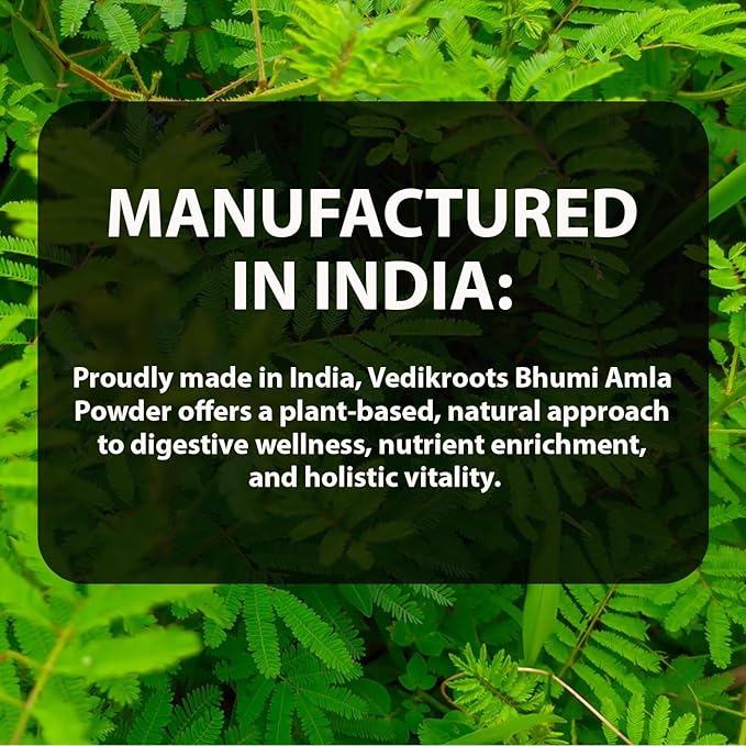 Bhumi Amla Powder/Churn - Organic and Pure Ingredient Extract for Healthy Liver Functioning and Digestive Strength Enriched with Essential Nutrients