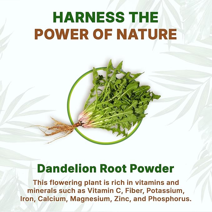 Go Nutra Dandelion Root Powder for Tea Coffee &amp Beverages | Concentrated 10:1 Dandelion Root Extract Powder Caffeine Free | No Added Ingredients | Non-GMO Vegan | 16 oz (1 lb)