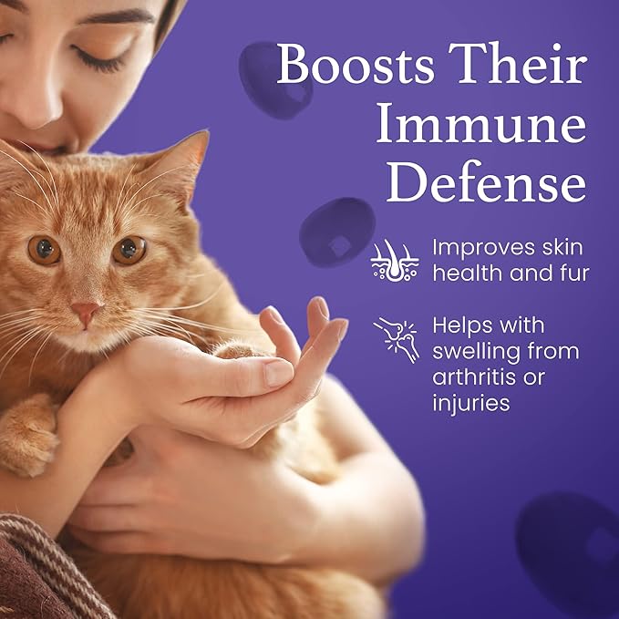 Cat Lover Set 2 Bottles of Pure ESS60 in Extra Virgin Olive Oil 1 for Humans and 1 for Felines Cat Supplements Infused with Natural Salmon Essence Must-Have Pet Supplies and Cat Products