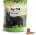 Silver Lining Herbs Thyroid Support for Horses – Herbal Horse Supplement for Normal Thyroid Function Hormone Balance &amp Healthy Metabolism with Irish Moss Kelp Parsley – 120-Day Supply