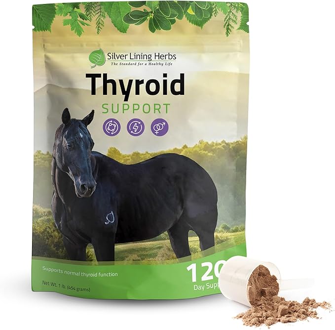 Silver Lining Herbs Thyroid Support for Horses – Herbal Horse Supplement for Normal Thyroid Function Hormone Balance &amp Healthy Metabolism with Irish Moss Kelp Parsley – 120-Day Supply