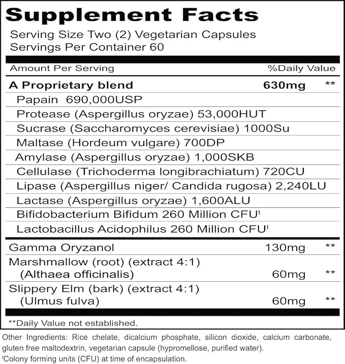 Priority One Vitamins Gastri Gest 120 Vegetarian Capsules - Powerful Combination of Plant enzymes That Help Maintain Healthy Digestion and intestinal Enzyme Activity.*