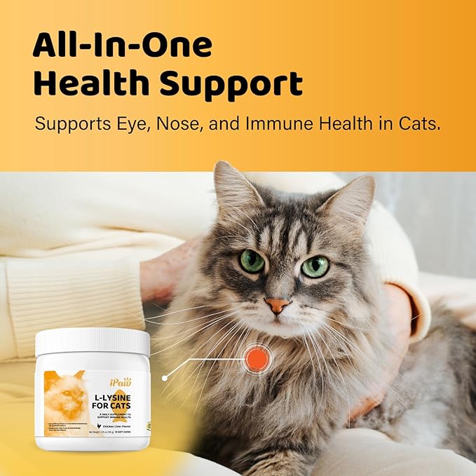 iPaw L-Lysine Chews for Cats Daily Immune and Respiratory Support for Cats Lysine Treats Supplement Made in USA Chicken Liver Flavor (70 Chews/Pack) 3 Packs
