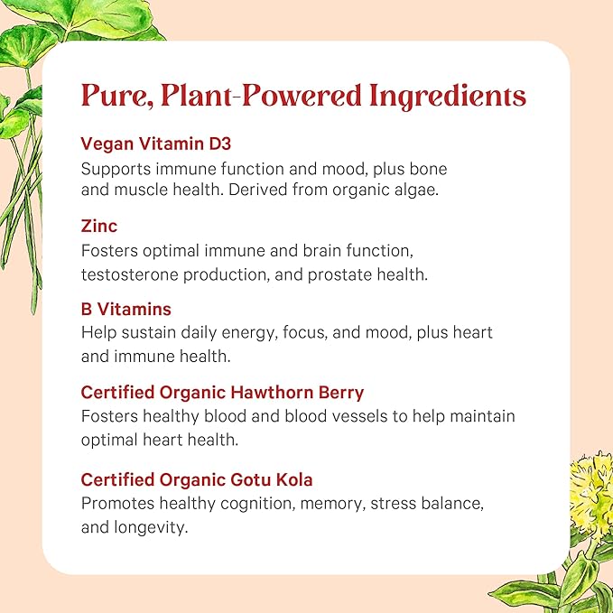 PURE SYNERGY Vita·Min·Herb for Men | Men’s Comprehensive Multivitamin Supplement | Made with Organic Whole Food Non-GMO Ingredients | Daily Energy &amp Immune Support (120 Tablets)