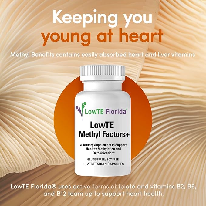 Methyl Factors + - 60 Capsules I B Vitamins Folate &amp Riboflavin for Normal Heart Liver &amp Brain Function* Energizing &amp Mood Boosting Supplement
